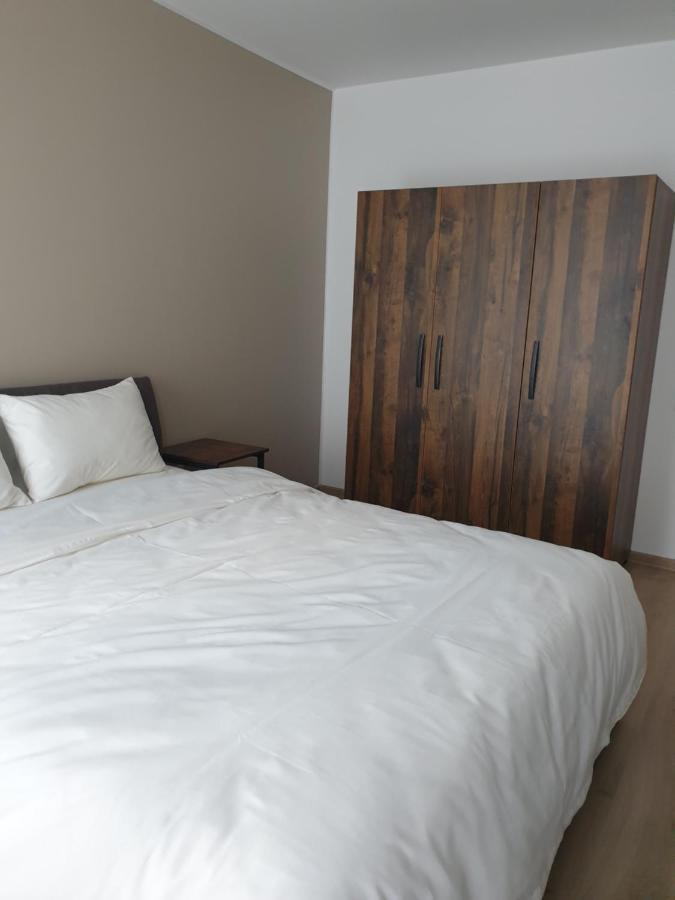 布拉索夫Qualis Apartament2公寓 外观 照片